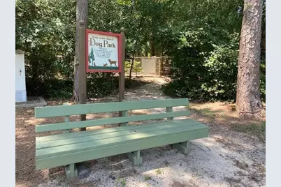 284 Pleasant Hill Lane, Holly Lake Ranch, TX 75765 - Photo 37