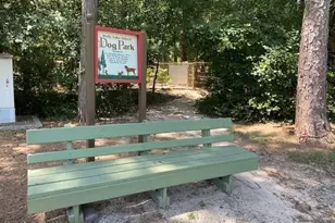 284 Pleasant Hill Ln, Holly Lake Ranch, TX 75765 - Photo 37