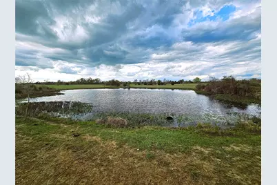 55.76 Acres Fm-3371, Groesbeck, TX 76642 - Photo 13