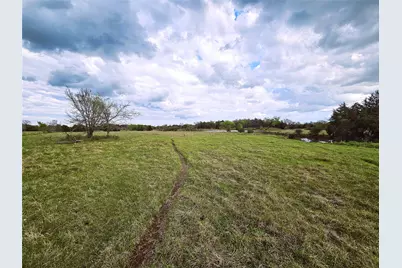 55.76 Acres Fm-3371, Groesbeck, TX 76642 - Photo 11