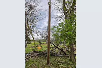 55.76 Acres Fm-3371, Groesbeck, TX 76642 - Photo 9