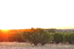 1040 Cedar Hl Dr, Nemo, TX 76070 - Photo 3