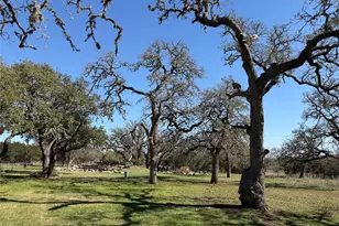 115 Woodland Rd, Kerrville, TX 78028 - Photo 33