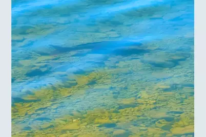 5505 Lakeshore Drive, Possum Kingdom Lake, TX 76450 - Photo 31