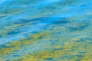 5505 Lake Shore Dr, Possum Kingdom Lake, TX 76450 - Photo 31