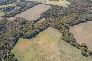 1293 Hcr 1425, Covington, TX 76636 - Photo 35