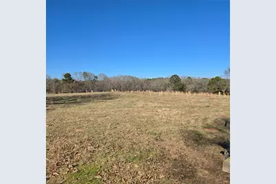 19953 Turtle Creek Road, Flint, TX 75762 - Photo 3