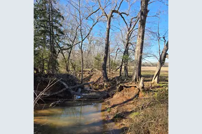 19953 Turtle Creek Road, Flint, TX 75762 - Photo 7