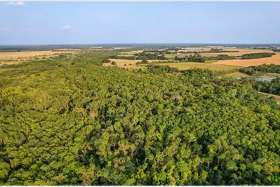 Tbd County Road 3550, Honey Grove, TX 75446 - Photo 3