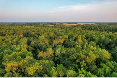 Tbd County Road 3550, Honey Grove, TX 75446 - Photo 11