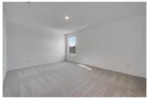 3145 Burmese St, Providence Village, TX 76227 - Photo 19