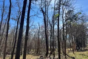 Tbd Anderson County Rd 319, Frankston, TX 75763 - Photo 1