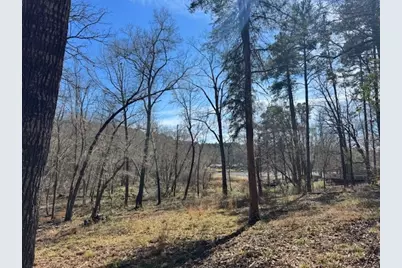 Tbd Anderson County Rd. 319, Frankston, TX 75763 - Photo 3