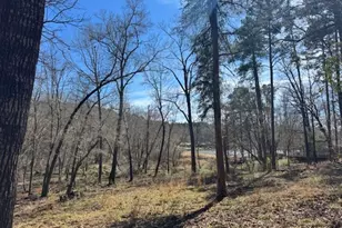 Tbd Anderson County Rd 319, Frankston, TX 75763 - Photo 3