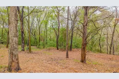 161 Fairway Drive E, Hideaway, TX 75771 - Photo 7