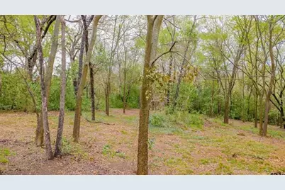 161 Fairway Drive E, Hideaway, TX 75771 - Photo 9