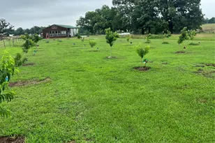 127 A Crump Aka Hwy 19 Ln, Sulphur Springs, TX 75482 - Photo 5