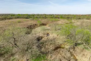 3692 FM 66, Grandview, TX 76050 - Photo 29