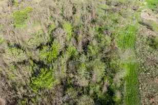 3692 FM 66, Grandview, TX 76050 - Photo 33