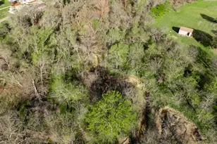 3692 FM 66, Grandview, TX 76050 - Photo 35