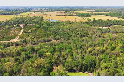 Tbd Cr 2382, Alba, TX 75410 - Photo 9