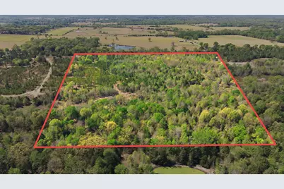 Tbd Cr 2382, Alba, TX 75410 - Photo 3