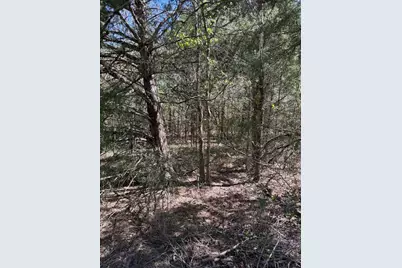 Tbd Cr 2382, Alba, TX 75410 - Photo 23