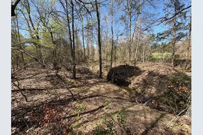 Tbd Cr 2382, Alba, TX 75410 - Photo 19