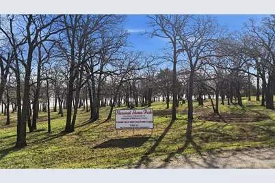 115 Friar Tuck Drive, Gordonville, TX 76245 - Photo 39