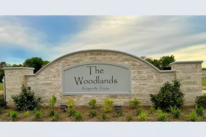 128 Texas Ash Drive, Krugerville, TX 76227 - Photo 3