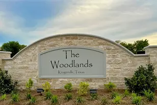 128 Texas Ash Dr, Krugerville, TX 76227 - Photo 3