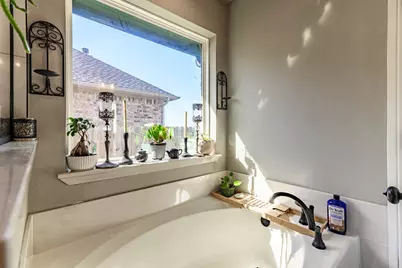 250 Poinsetta Drive, Palmer, TX 75152 - Photo 17