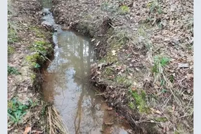 180 Ripple Creek Drive, Coldspring, TX 77331 - Photo 13