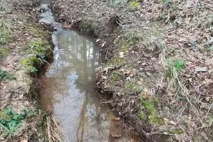 180 Ripple Creek Dr, Coldspring, TX 77331 - Photo 13