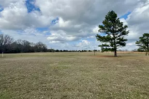 877 Co Rd 2010, Ivanhoe, TX 75447 - Photo 9