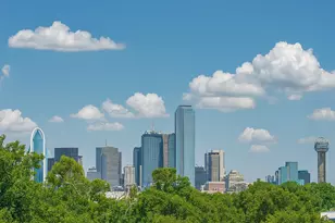 918 Duluth St, Dallas, TX 75212 - Photo 11