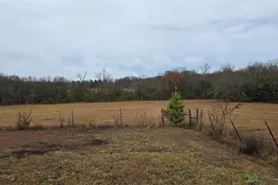 2267 Co Rd 3025, Bonham, TX 75418 - Photo 19