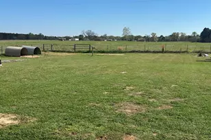 3091 Chipmunk Rd, Gilmer, TX 75644 - Photo 19