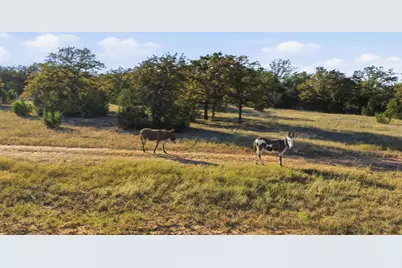 11031 Brock Highway, Lipan, TX 76462 - Photo 1