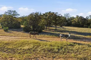 11031 Brock Hwy, Lipan, TX 76462 - Photo 1