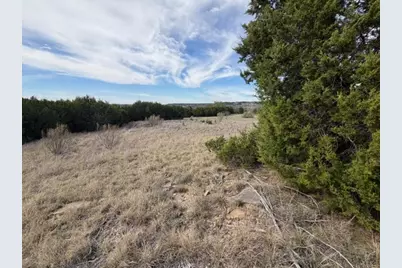 1160 Prairie Falcon Court, Graford, TX 76449 - Photo 7