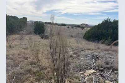 1160 Prairie Falcon Court, Graford, TX 76449 - Photo 5