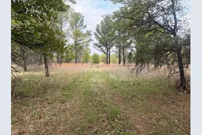 2548 County Road 2690, Alvord, TX 76225 - Photo 29
