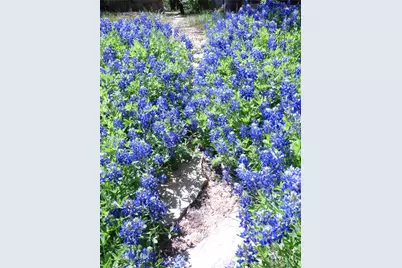 2016 N Lakeview Drive, Palo Pinto, TX 76484 - Photo 39