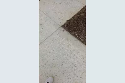 916 Lost Mine Trail, Little Elm, TX 75068 - Photo 19