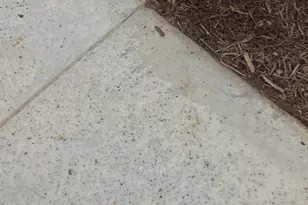 916 Lost Mine Trl, Little Elm, TX 75068 - Photo 19