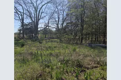 294 County Road 2809, Honey Grove, TX 75446 - Photo 5