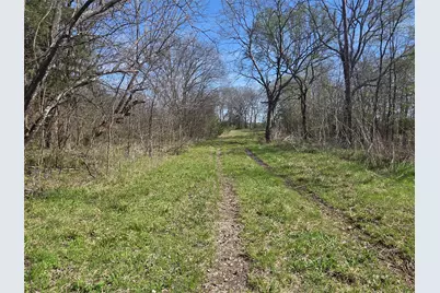 294 County Road 2809, Honey Grove, TX 75446 - Photo 3