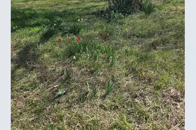 294 County Road 2809, Honey Grove, TX 75446 - Photo 19