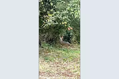 442 Martha Street, Bullard, TX 75757 - Photo 9